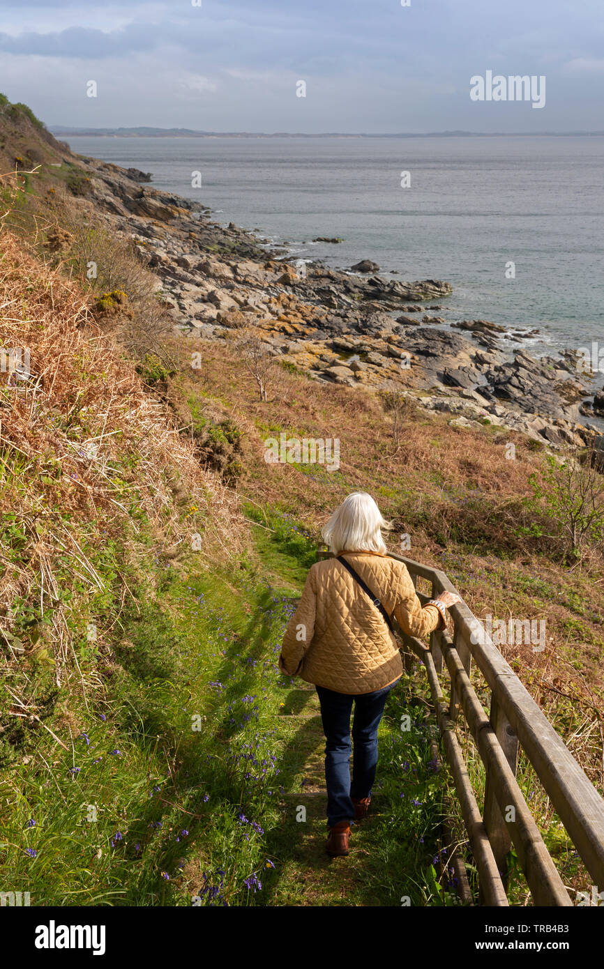 Irlanda del Nord, Co Down, Newcastle, Bloody Bridge, senior donna femmina a piedi lungo Mourne Coast Path Foto Stock