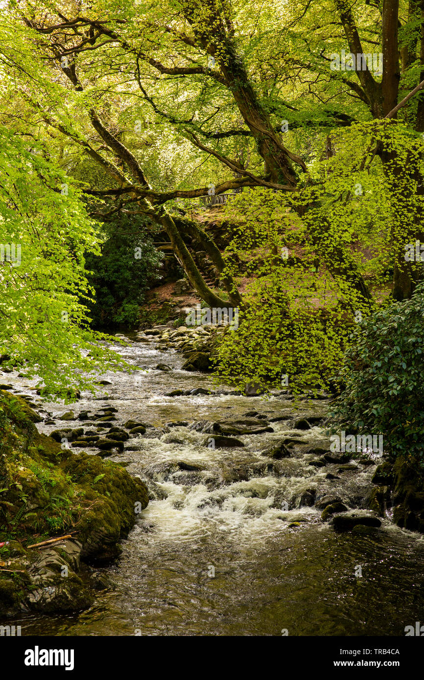Irlanda del Nord, Co Down, Bryansford, Tollymore Forest Park, Shimna fiume che scorre attraverso la valle boscosa accanto al sentiero segnato Foto Stock
