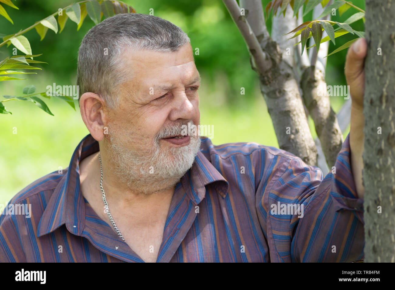 Ritratto di barbuto senior caucasica uomo in piedi sotto agli alberi e alla ricerca Foto Stock