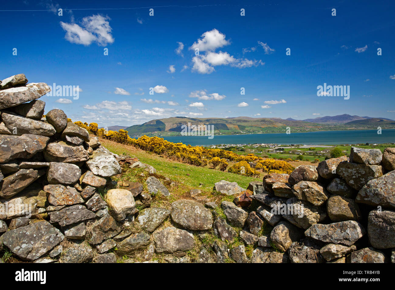 Irlanda, Co Louth, penisola di Cooley, Rooskey, vista in elevazione attraverso Carlingford Lough a Mourne Mountains da abbandonati pre-carestia village Foto Stock