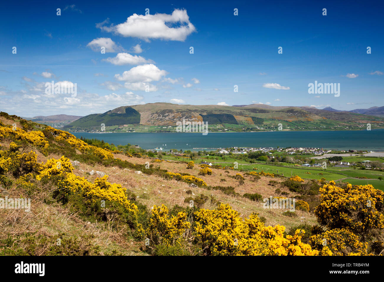 Irlanda, Co Louth, penisola di Cooley, Rooskey, vista in elevazione attraverso Carlingford Lough a Mourne Mountains Foto Stock