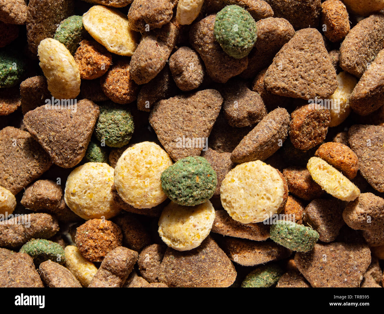 Una chiusura secca di cibo per cani kibble Foto Stock