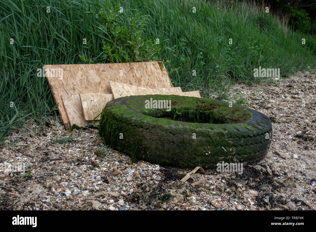 Warsash, Hampshire, Inghilterra - 2 Giugno 2019: Ingombro Sud Go Green per la spiaggia locale pulito Foto Stock