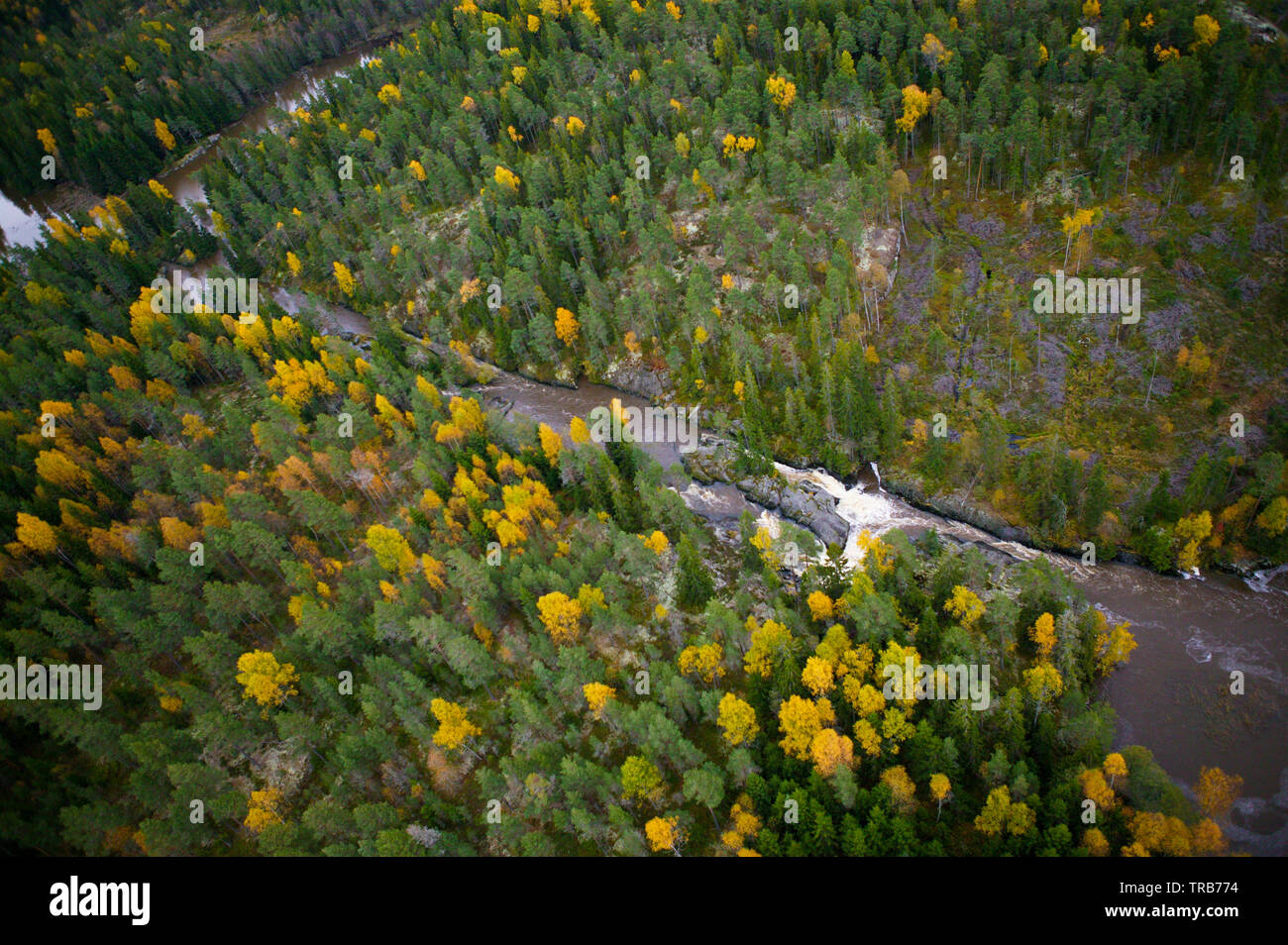 Vista aerea sul fiume Svinna in Våler kommune, Østfold fylke, Norvegia. Il fiume è una parte dell'acqua sistema chiamato Morsavassdraget. Il fiume Svinna corre dal lago Saebyvannet e nel lago Vansjø. Vansjø è il lago più grande in Østfold. Ottobre, 2004. Foto Stock