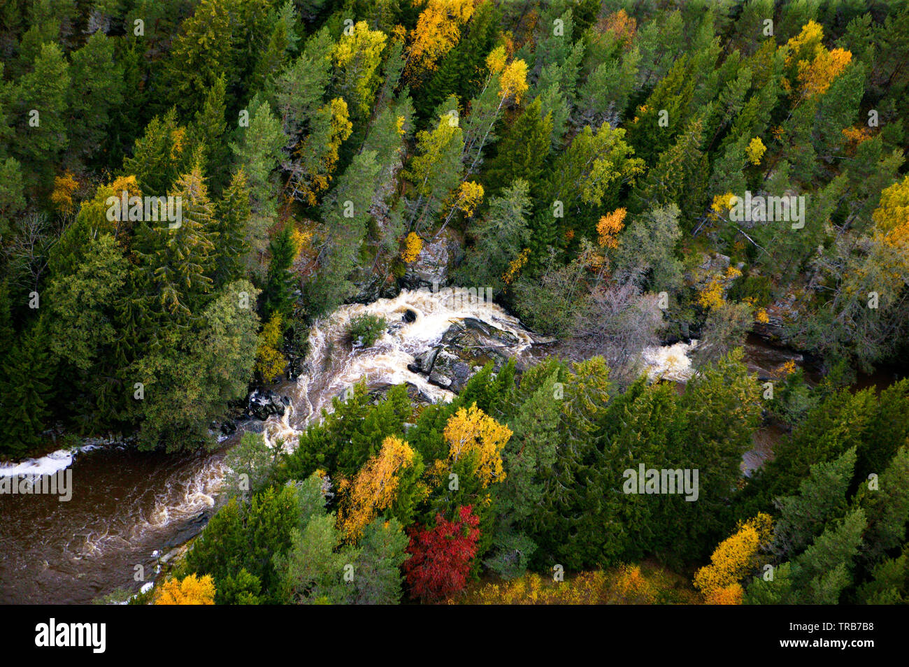 Vista aerea sul fiume Svinna in Våler kommune, Østfold fylke, Norvegia. Il fiume è una parte dell'acqua sistema chiamato Morsavassdraget. Il fiume Svinna corre dal lago Saebyvannet e nel lago Vansjø. Vansjø è il lago più grande in Østfold. Ottobre, 2004. Foto Stock