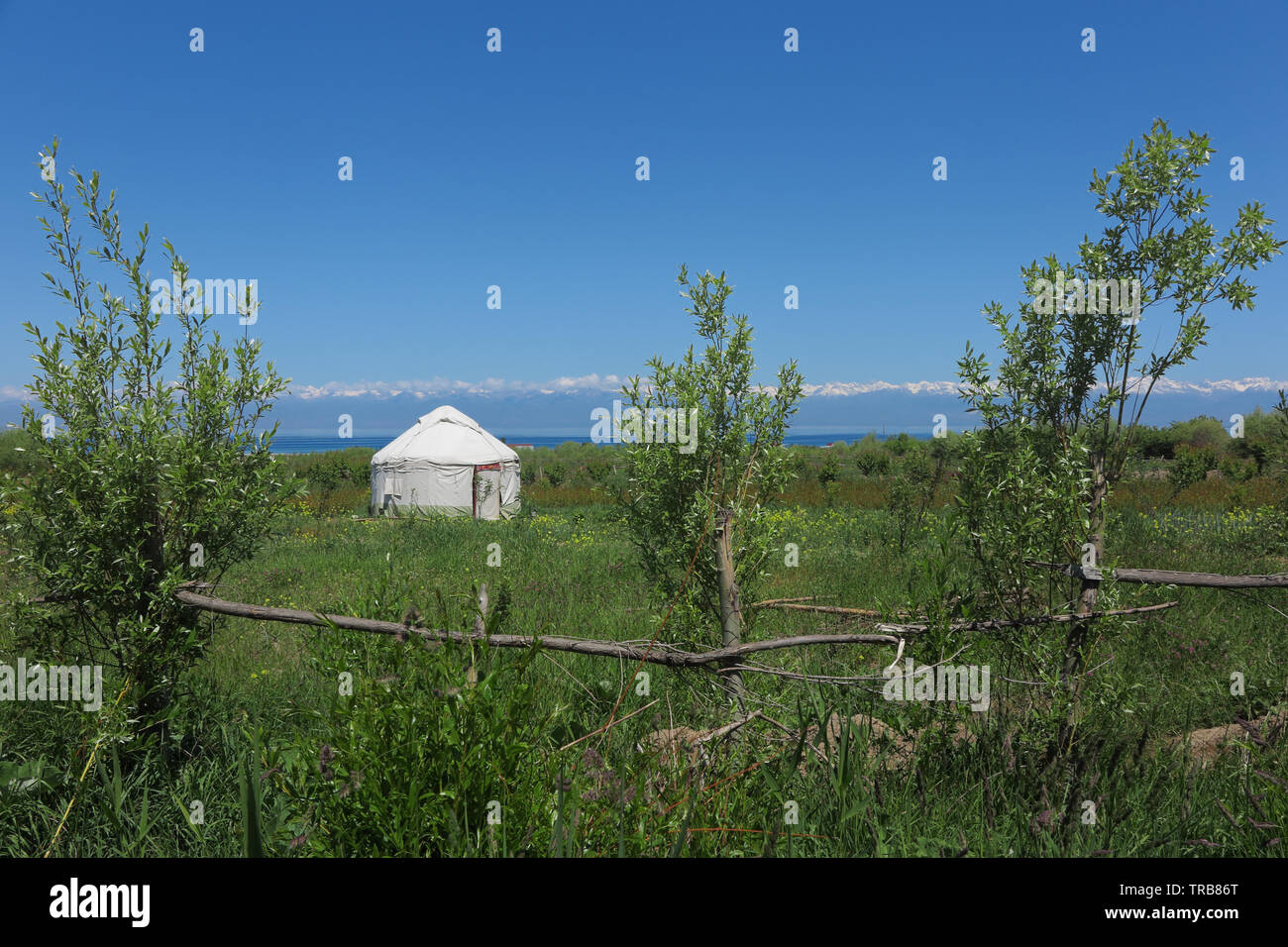 Il Kirghizistan yurt in un giardino. Foto Stock