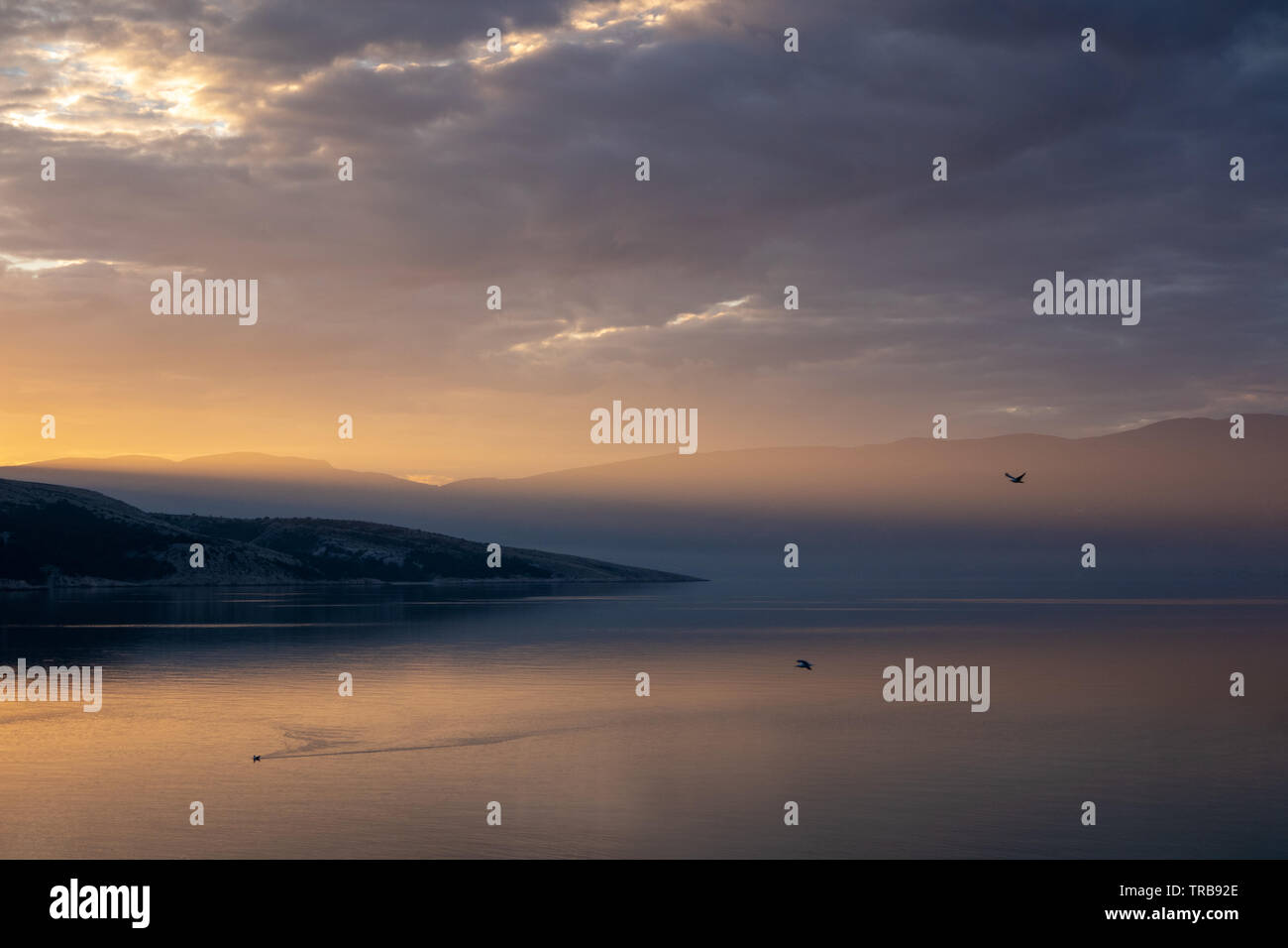 Luce del sole all'alba sul mare Adriatico e uccelli volanti. Vista dalla baia di Baska. Isola Krk. Croazia. Europa. Foto Stock