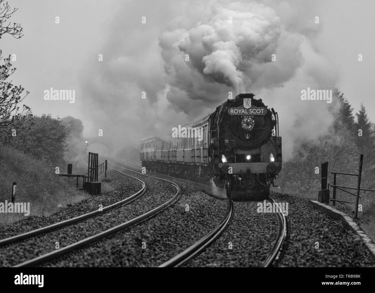 Locomotiva a vapore 70000 Britannia passando Horton in Ribblesdale sull'accontentarsi di Carlisle railway sotto la pioggia con un Saphos railtour Foto Stock