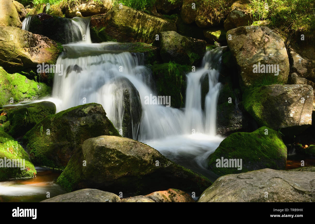 Bella cascata a cascata su verdi rocce di muschio nella foresta. Romantico e rilassante, paesaggio naturale nel Parco Nazionale di Harz, Germania centrale. Foto Stock