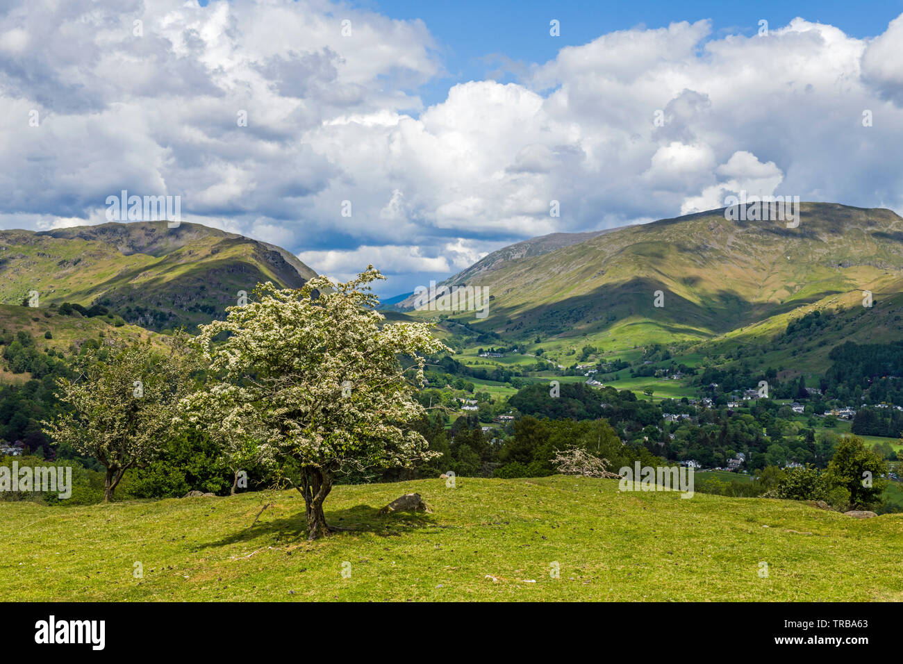 Cercando di Dunmail sollevare dalla piantagione Hammerscar nel Parco Nazionale del Distretto dei Laghi Foto Stock