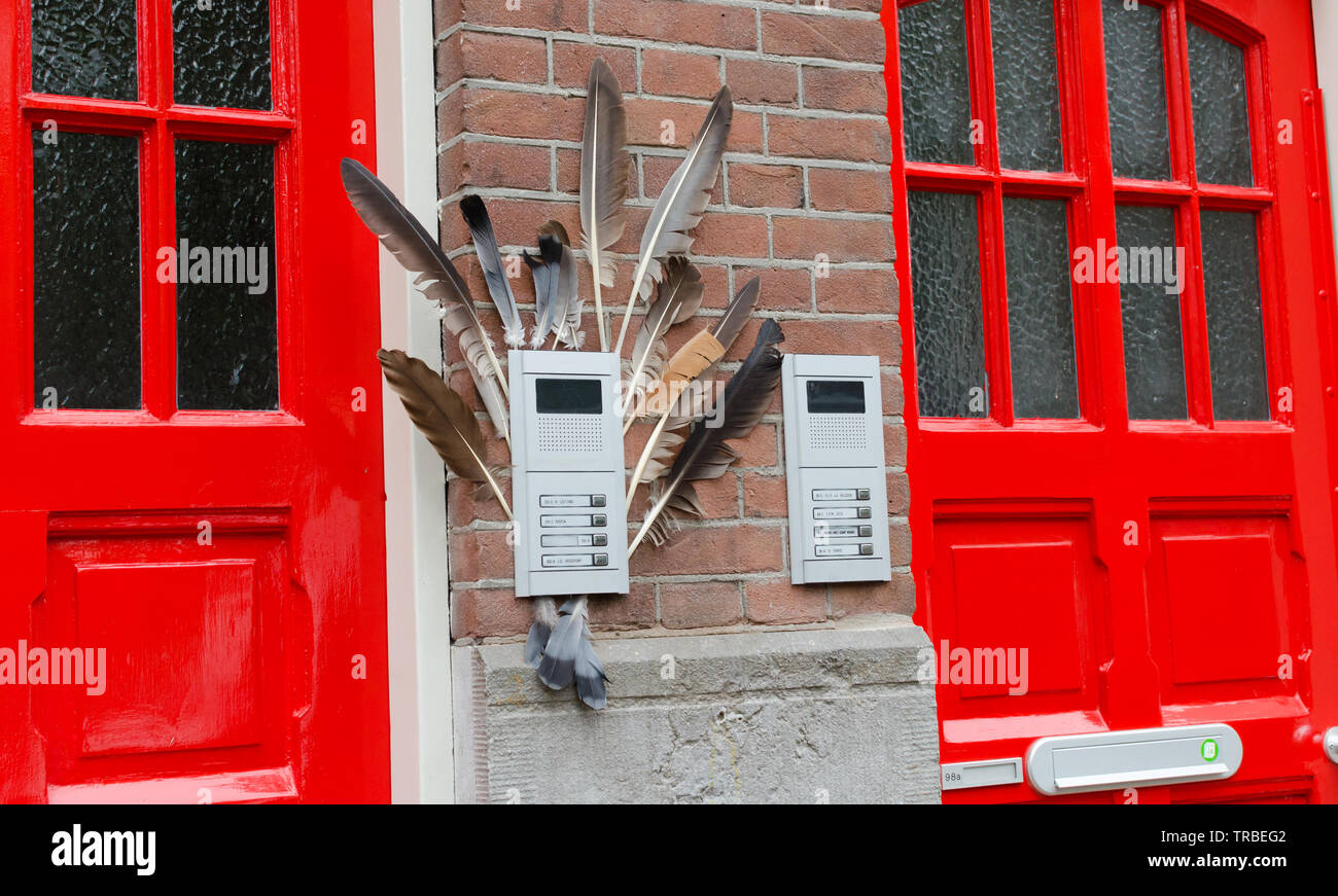 Due porte rosse sulla facciata della casa con birf piume. Grande via vaso con la pianta verde. Oost di Amsterdam. Il lato est quartieri. Foto Stock