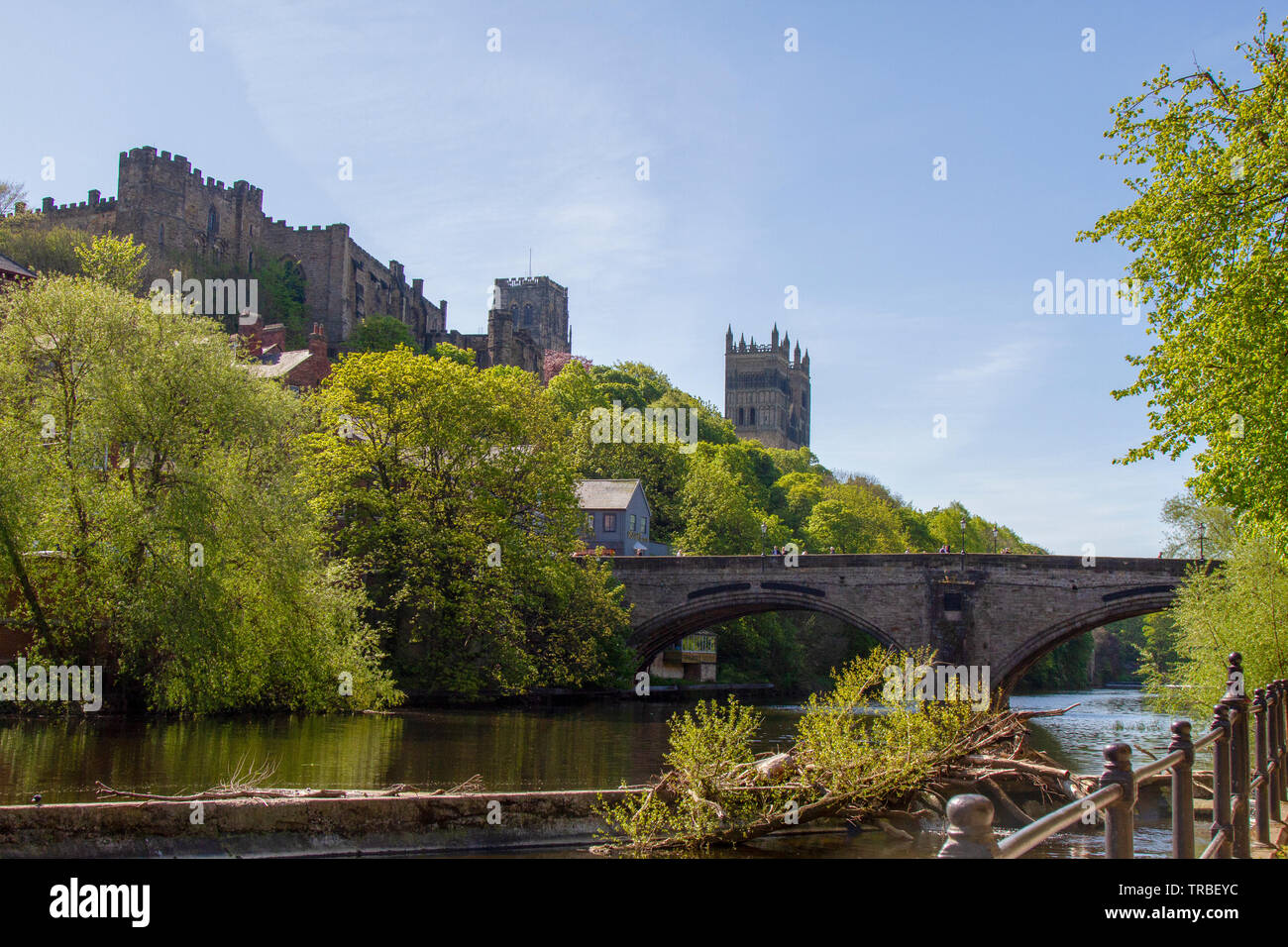 La Cattedrale di Durham in primavera Foto Stock