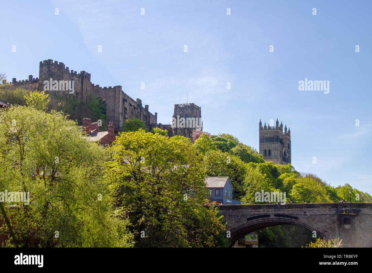 La Cattedrale di Durham in primavera Foto Stock