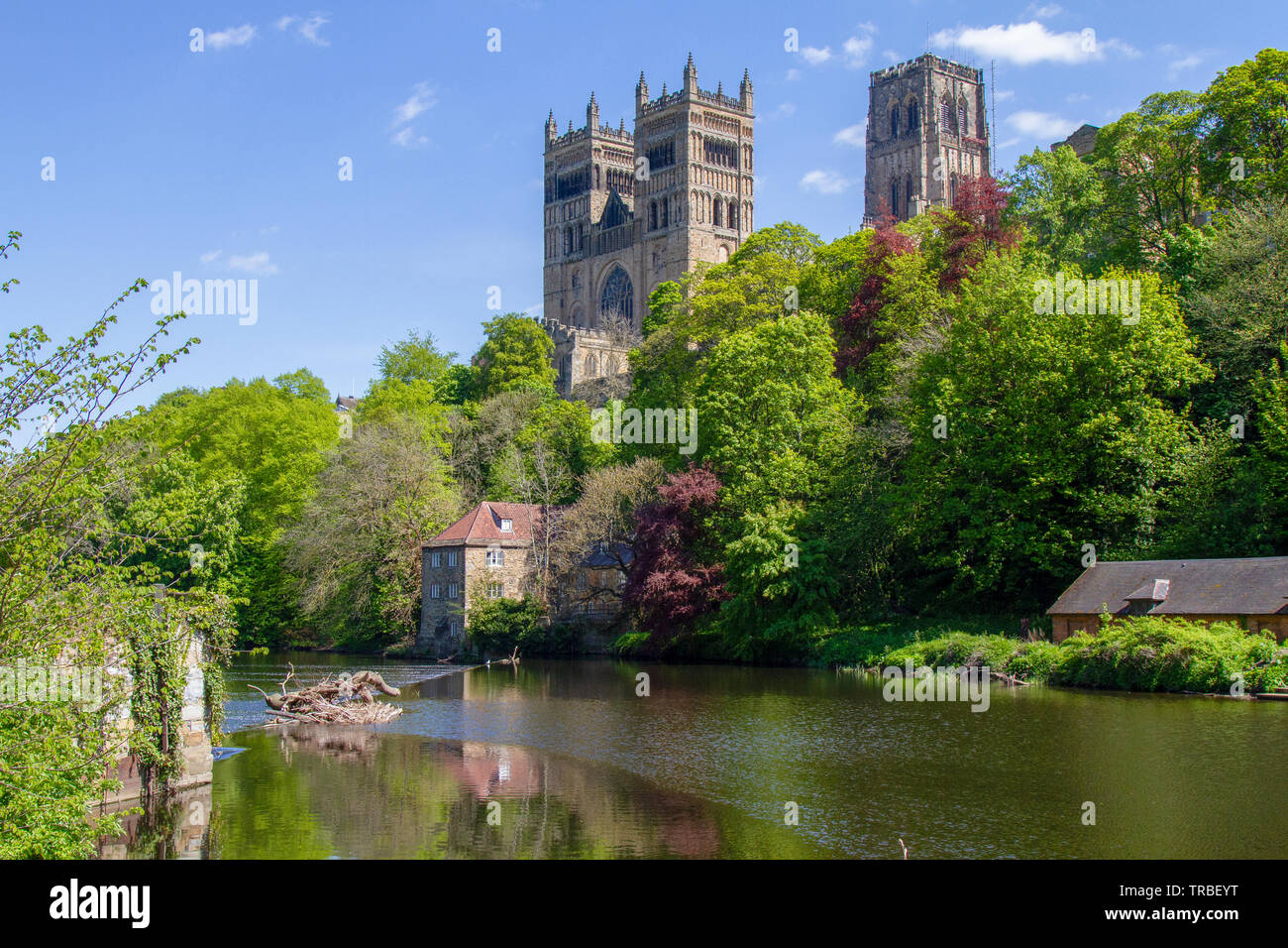 La Cattedrale di Durham in primavera Foto Stock