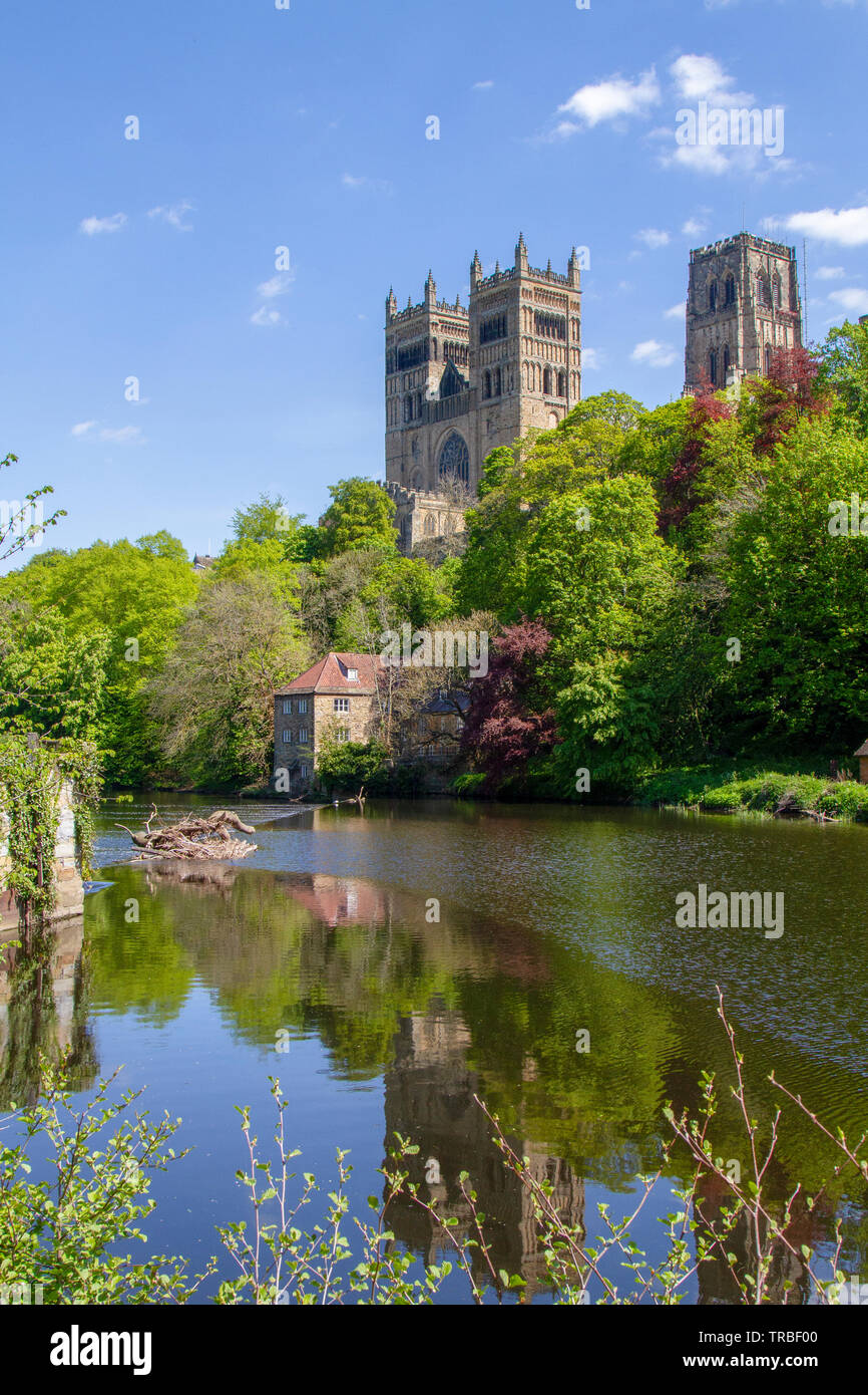 La Cattedrale di Durham in primavera Foto Stock