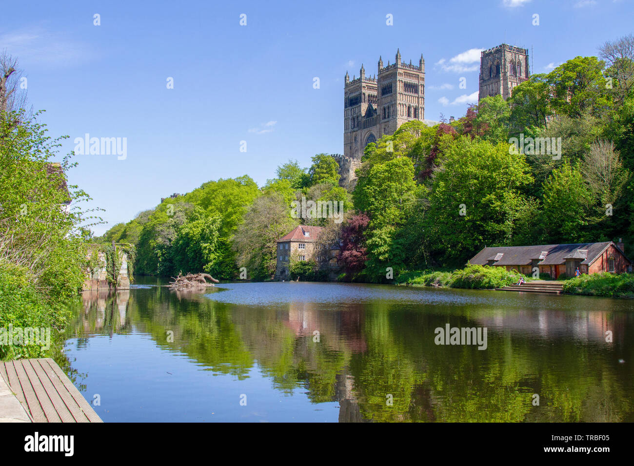 La Cattedrale di Durham in primavera Foto Stock