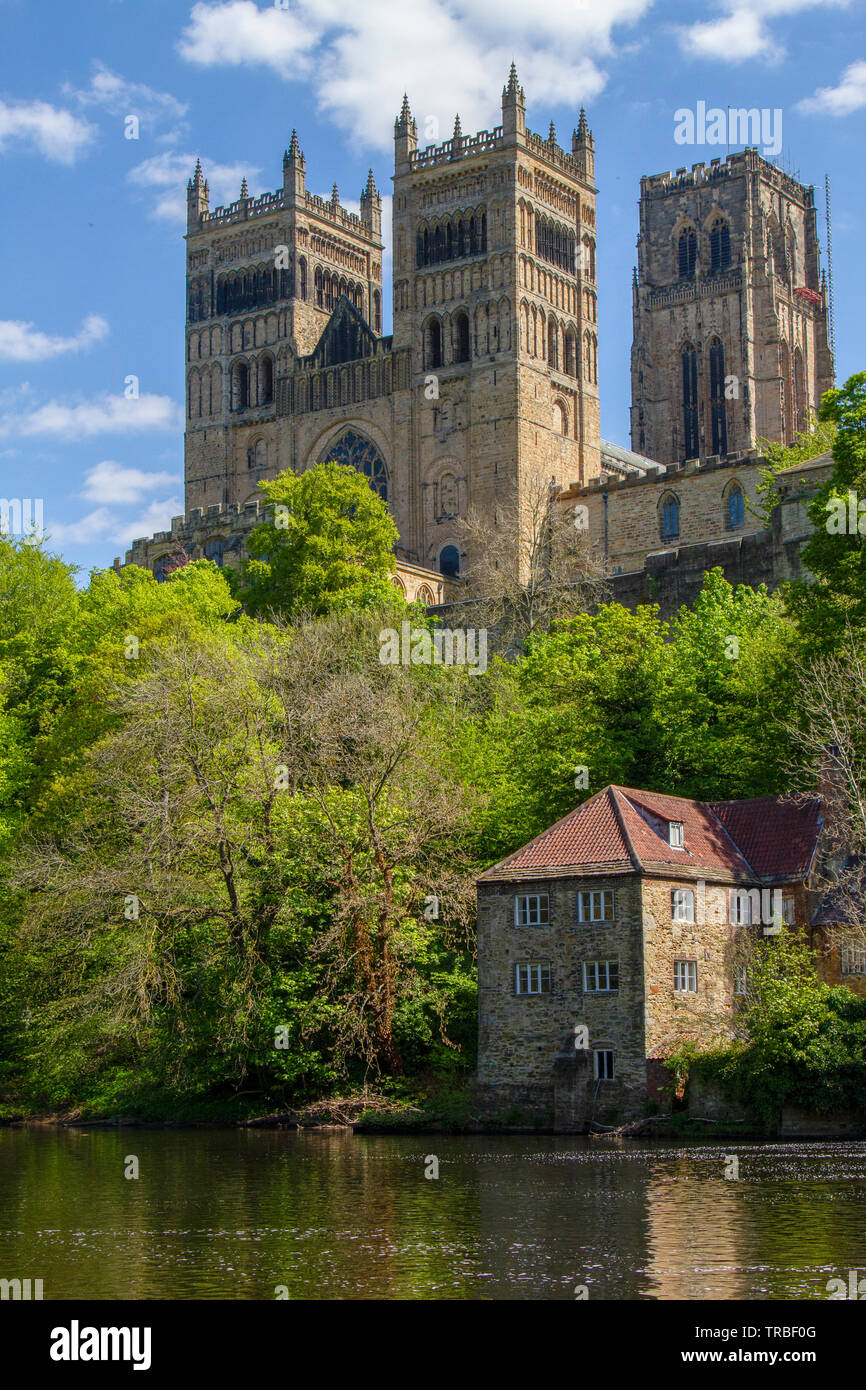 La Cattedrale di Durham in primavera Foto Stock