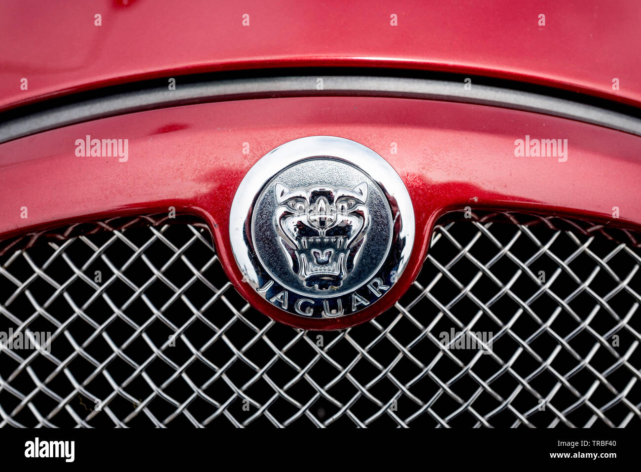 Jaguar cars' badge classico marque mascotte Foto Stock