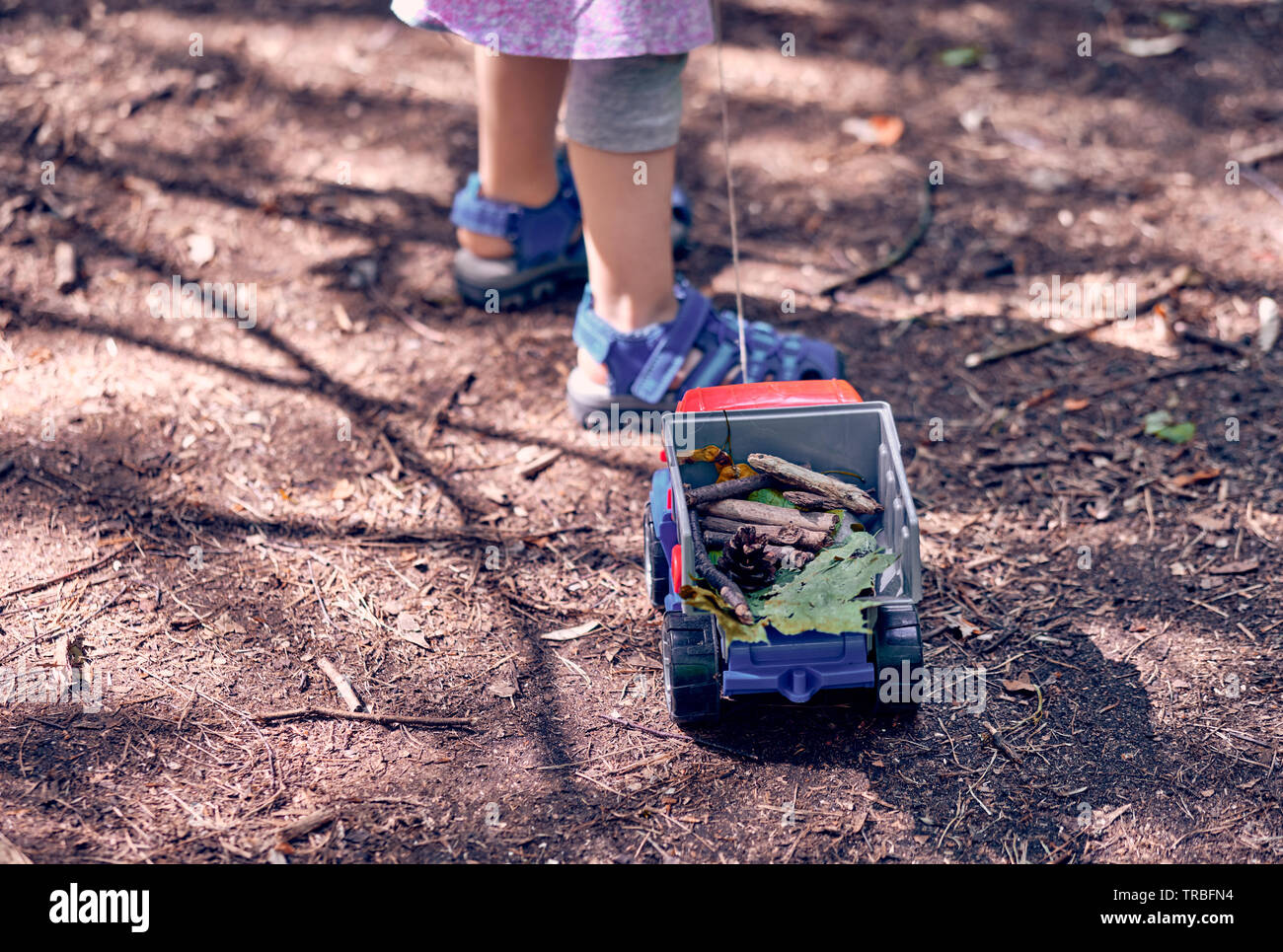 La parte inferiore di un 3 anno vecchia ragazza tirando un giocattolo carrello con foglie, pietre e bastoni di legno nella foresta Foto Stock