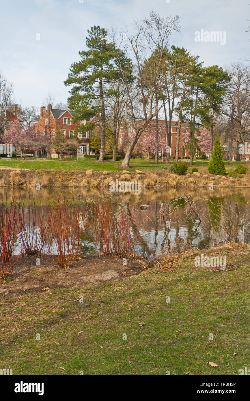 Murphy lago a San Louis Forest Park su un aprile pomeriggio. Foto Stock