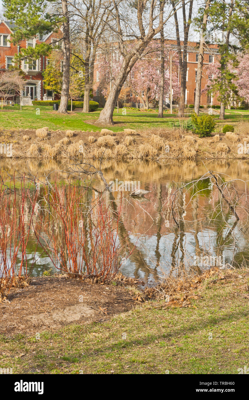 Murphy lago a San Louis Forest Park su un aprile pomeriggio. Foto Stock