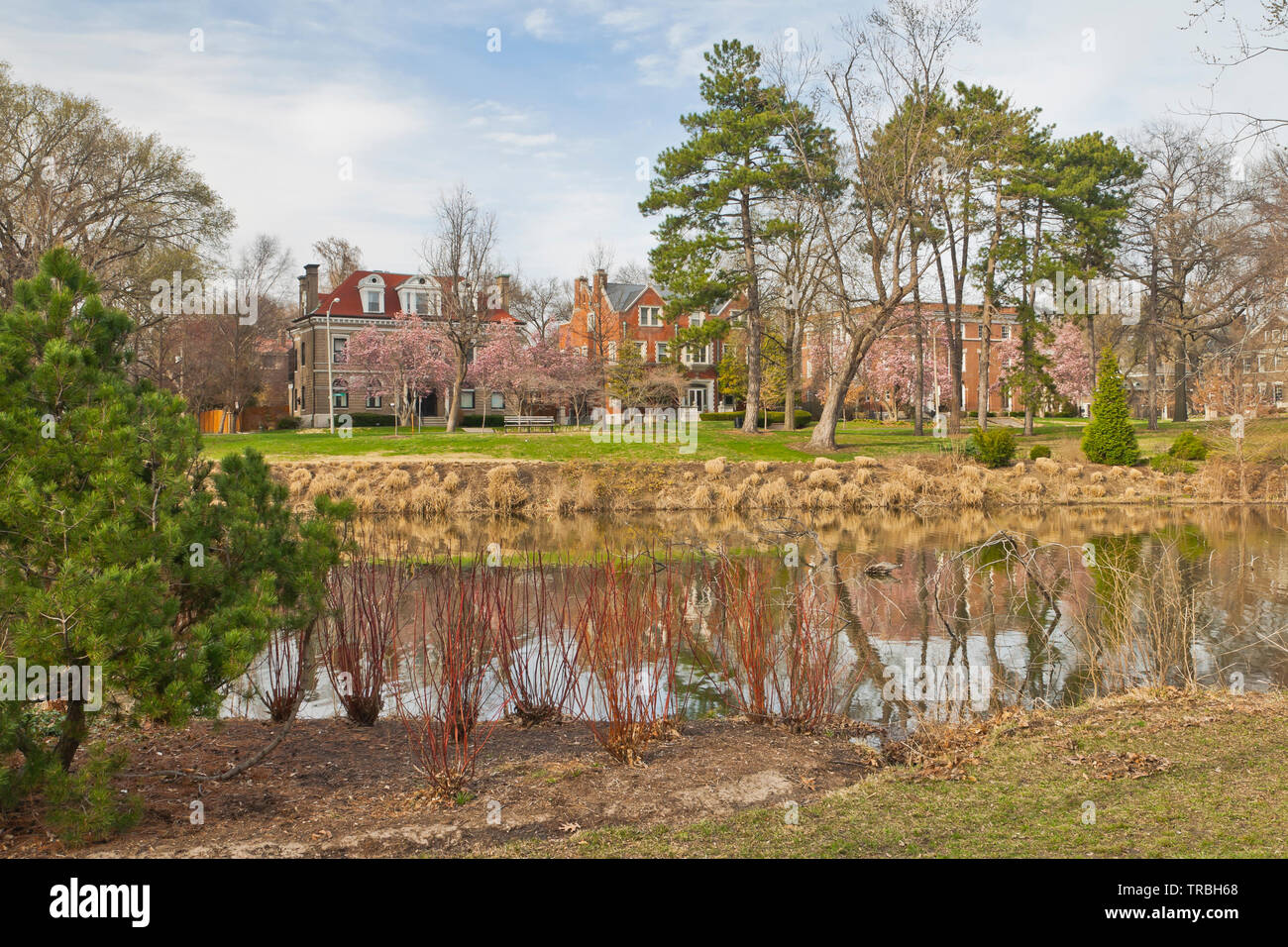 Murphy lago a San Louis Forest Park su un aprile pomeriggio. Foto Stock