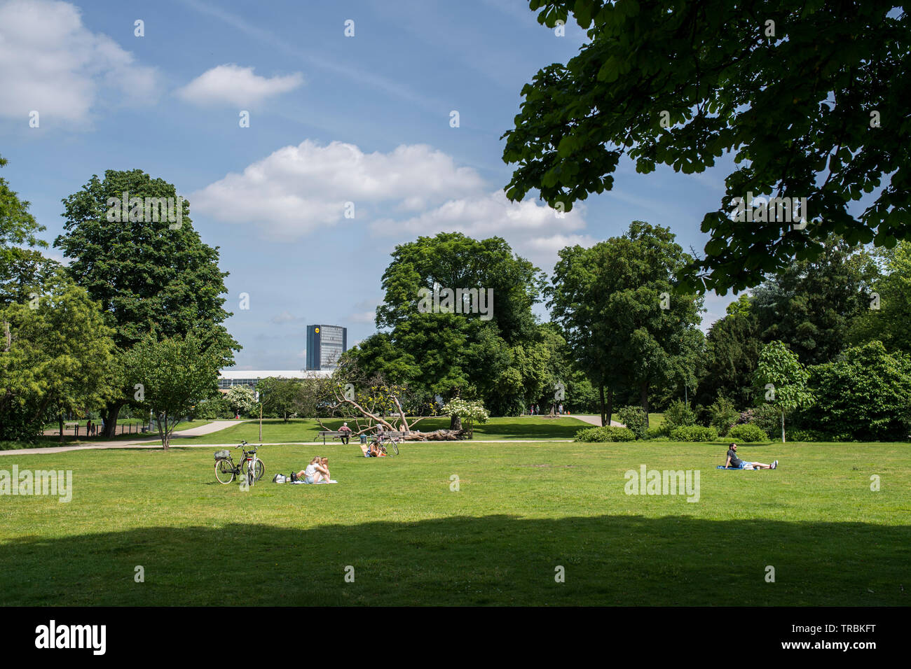 Duesseldorf, Germania Foto Stock