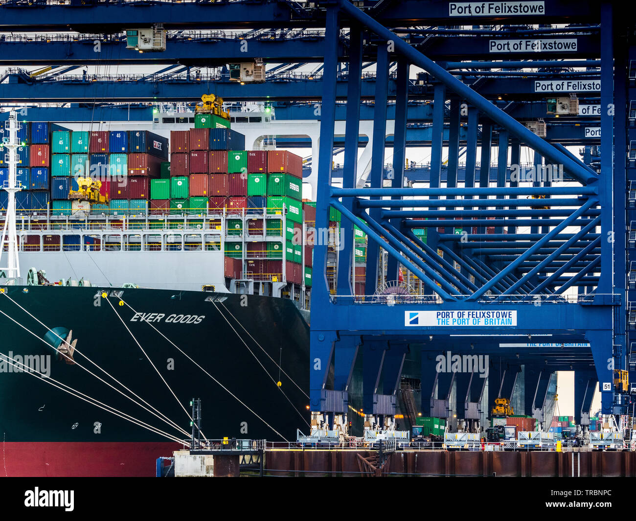 Regno Unito Europa il commercio - i contenitori di spedizione essendo caricato sul mai merci nave portacontainer nel porto di Felixstowe Foto Stock