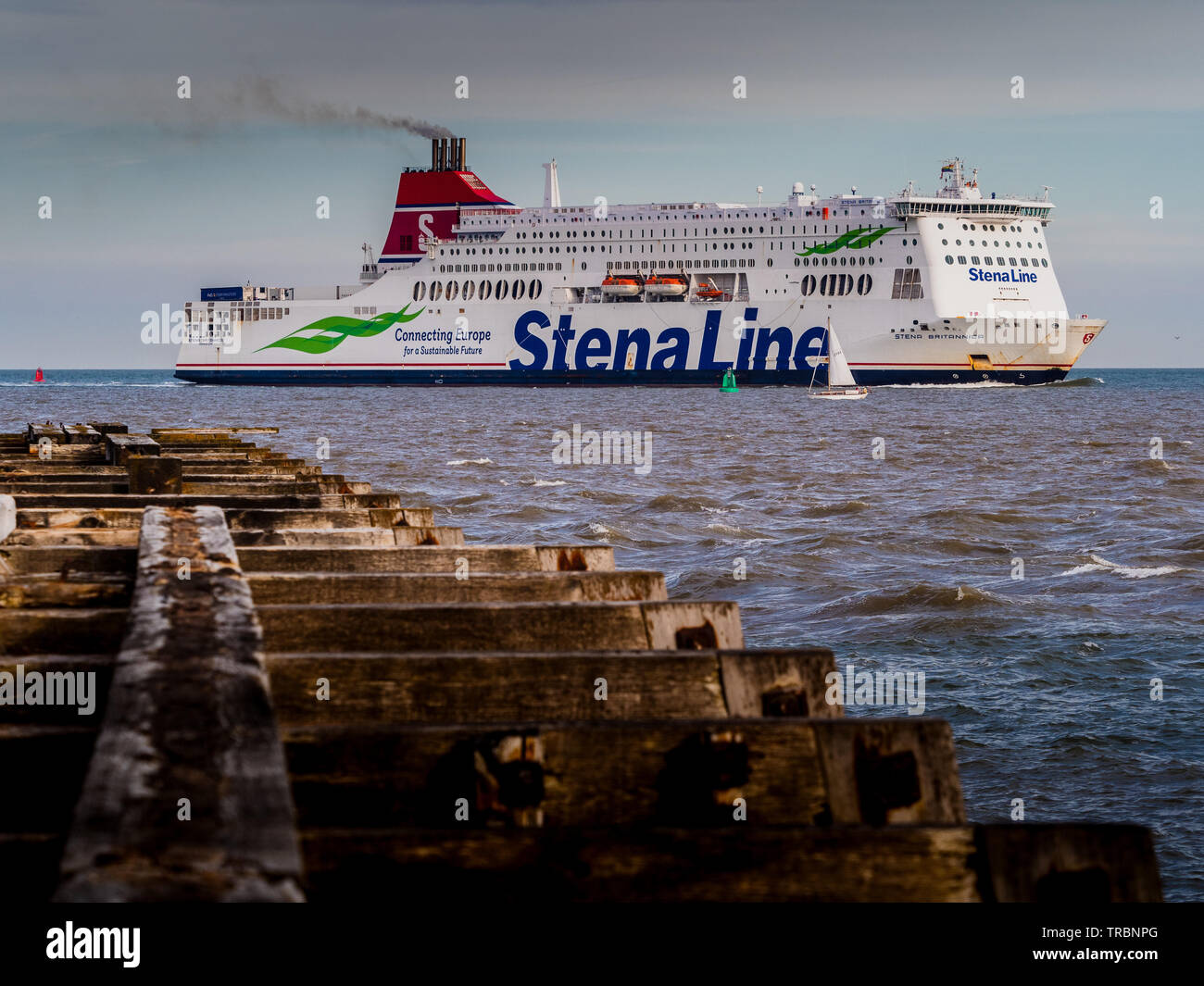 Stena Line traghetto Stena Britannica da Hoek van Holland gancio di Olanda a Harwich Regno Unito entrando in porto in Harwich Foto Stock