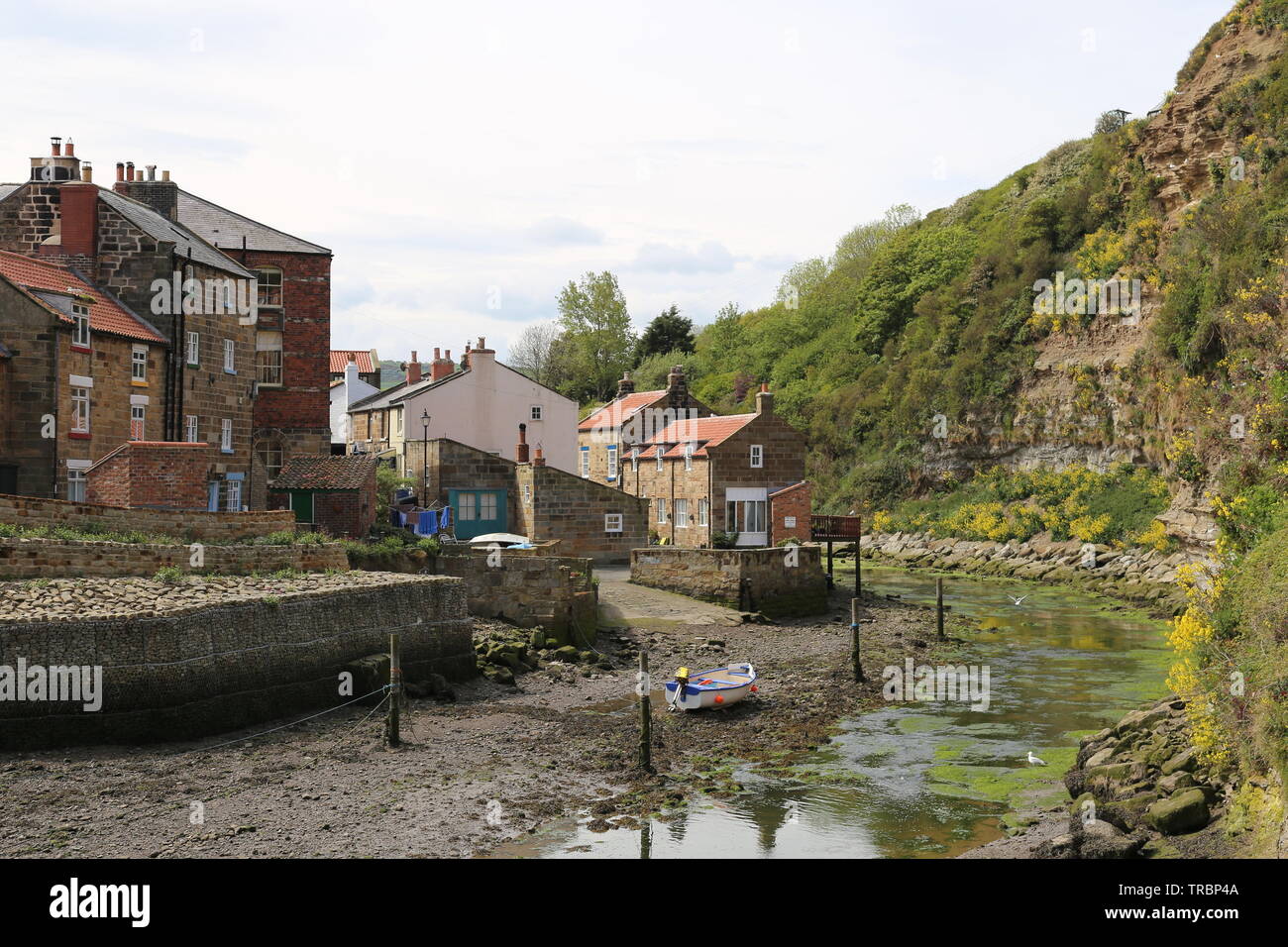 E Beckside Staithes Beck, Staithes Borough di Scarborough, North Yorkshire, Inghilterra, Gran Bretagna, Regno Unito, Gran Bretagna, Europa Foto Stock