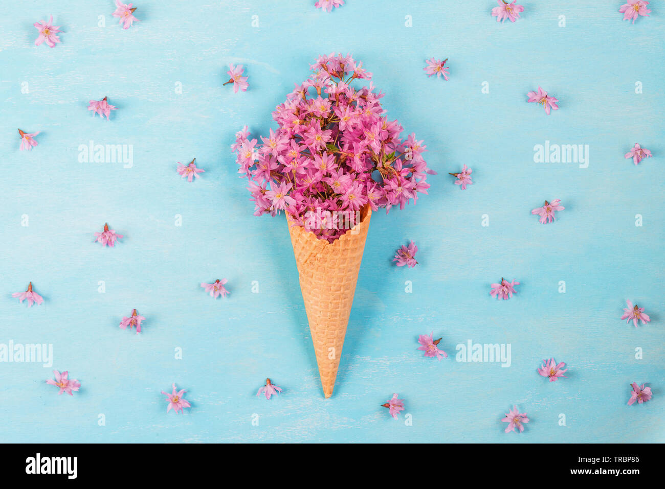 Gelato di fiore di rosa fiori di ciliegio nel cono di cialda su color pastello sfondo blu con boccioli. flat laici. vista dall'alto. matrimonio o sfondo per le vacanze Foto Stock