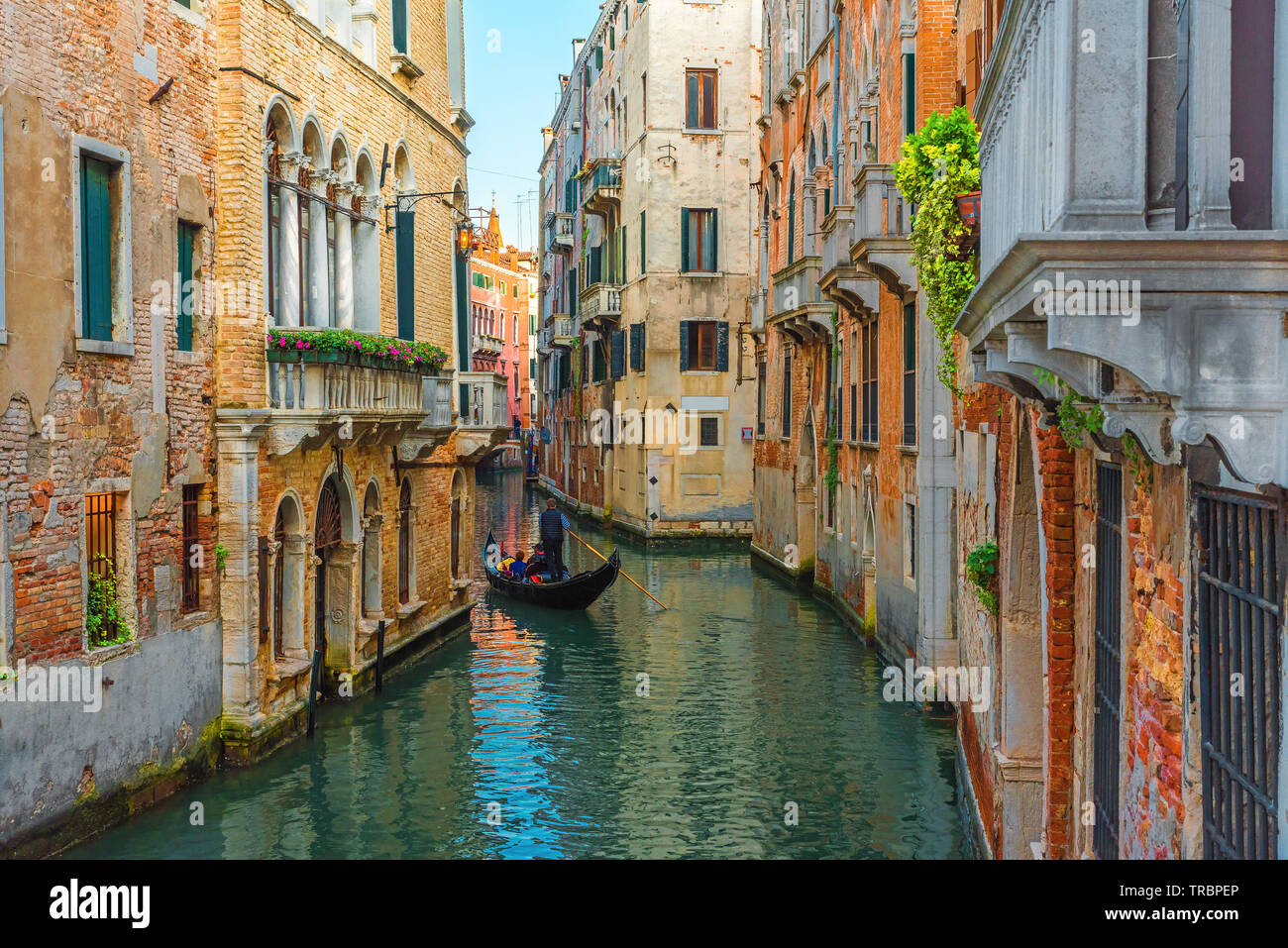 Venezia, Italia. Gondoliere veneziano galleggianti in gondola con i turisti attraverso il canale verde Acque di Venezia in giornata di sole Foto Stock