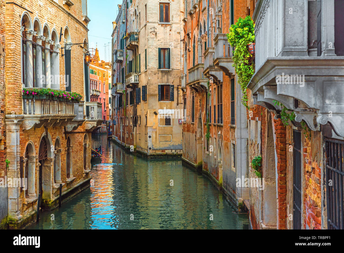 Canale veneziano con gondola e le variopinte facciate delle vecchie case medievali a Venezia, Italia nella giornata di sole Foto Stock