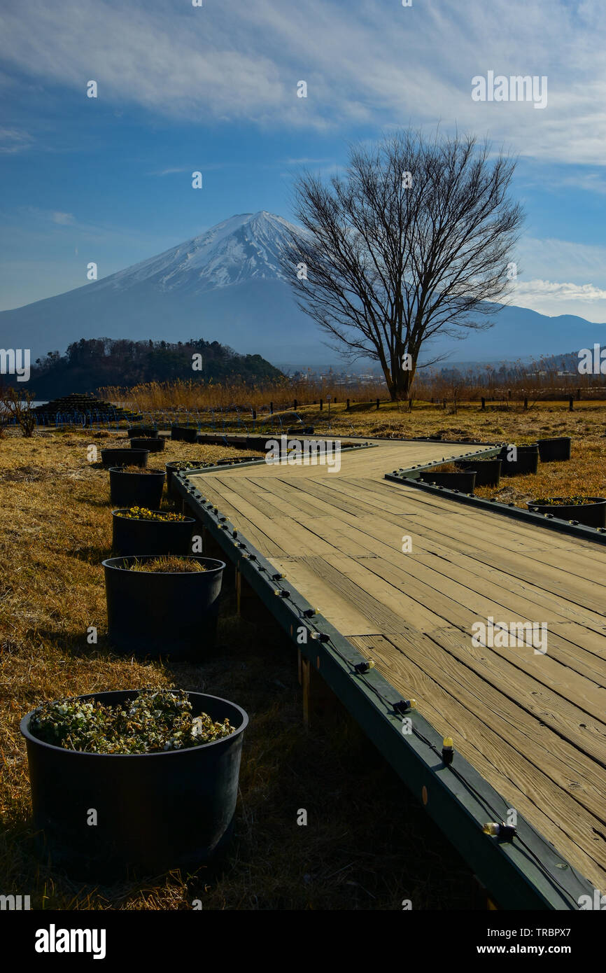 Il Monte Fuji è la montagna più alta e un'icona di Giappone Foto Stock