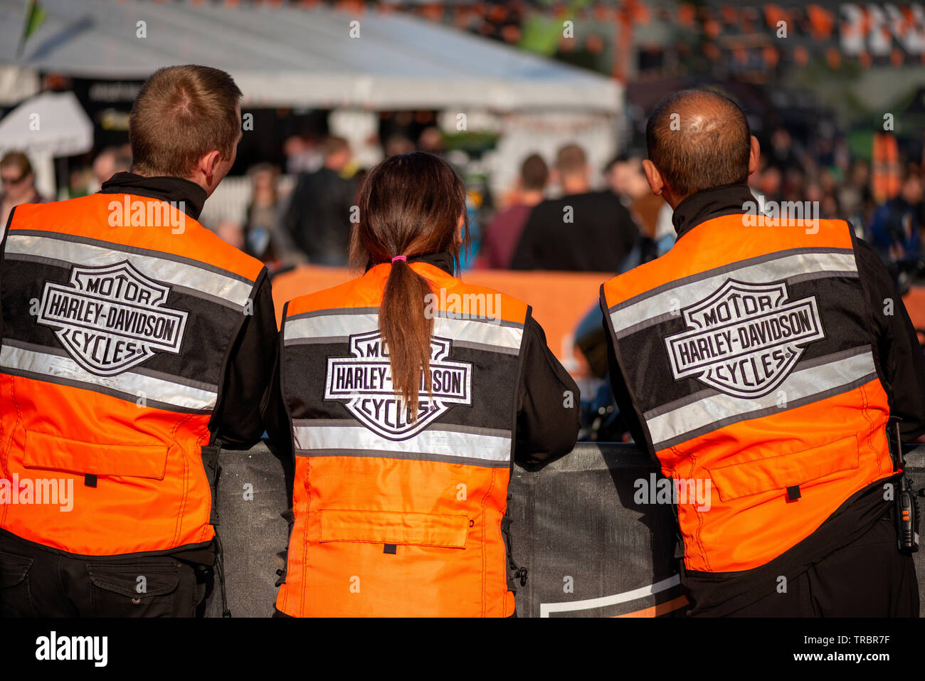 Killarney Irlanda " Harley Davidson' Bike Fest raduno. Tre 3 evento marescialli steward con hi visibilità "Harley Davidson Moto' gilet con le spalle alla telecamera. Foto Stock