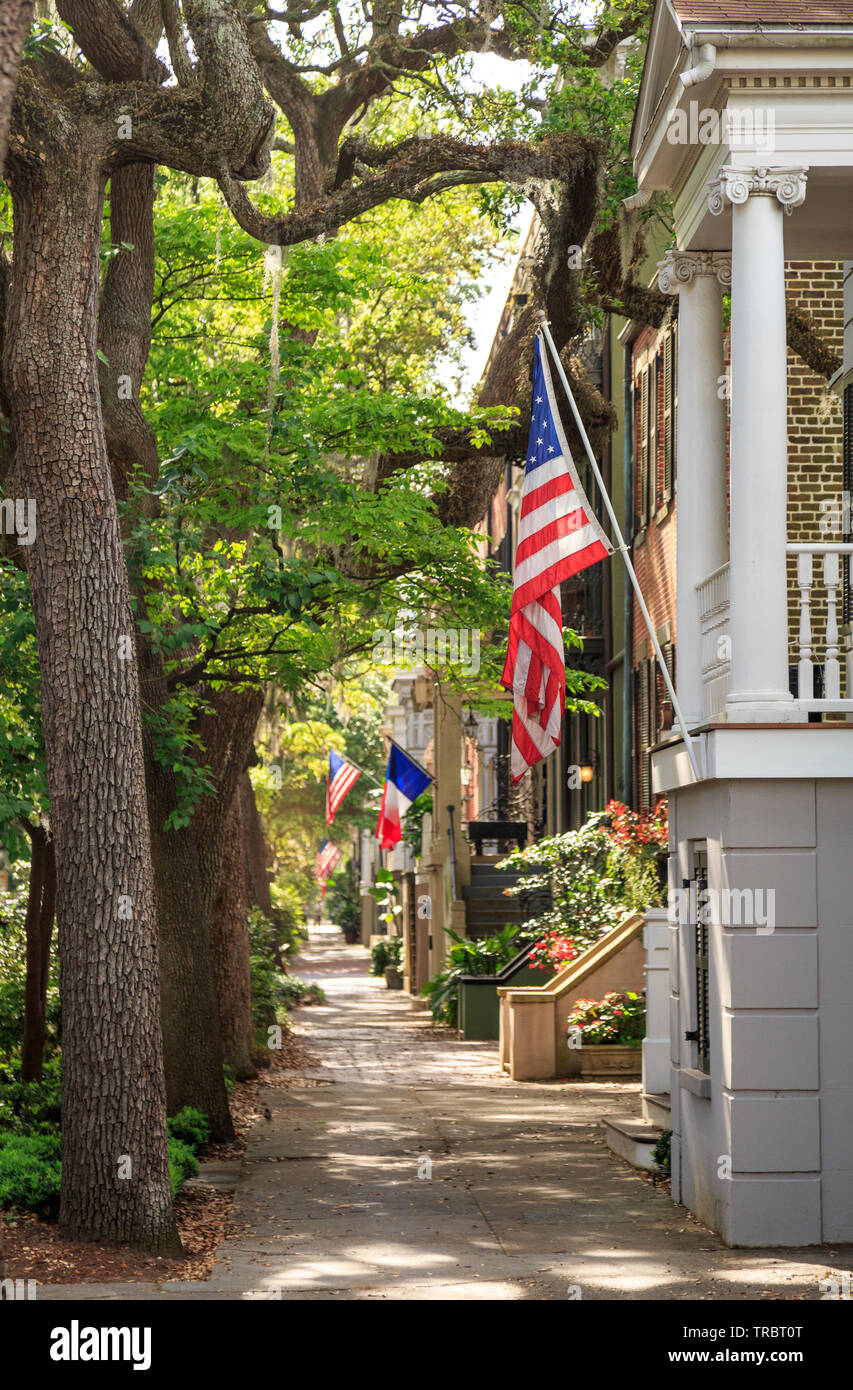 Il quartiere storico di strada costeggiata con fila di case in primavera a Savannah, Georgia Foto Stock