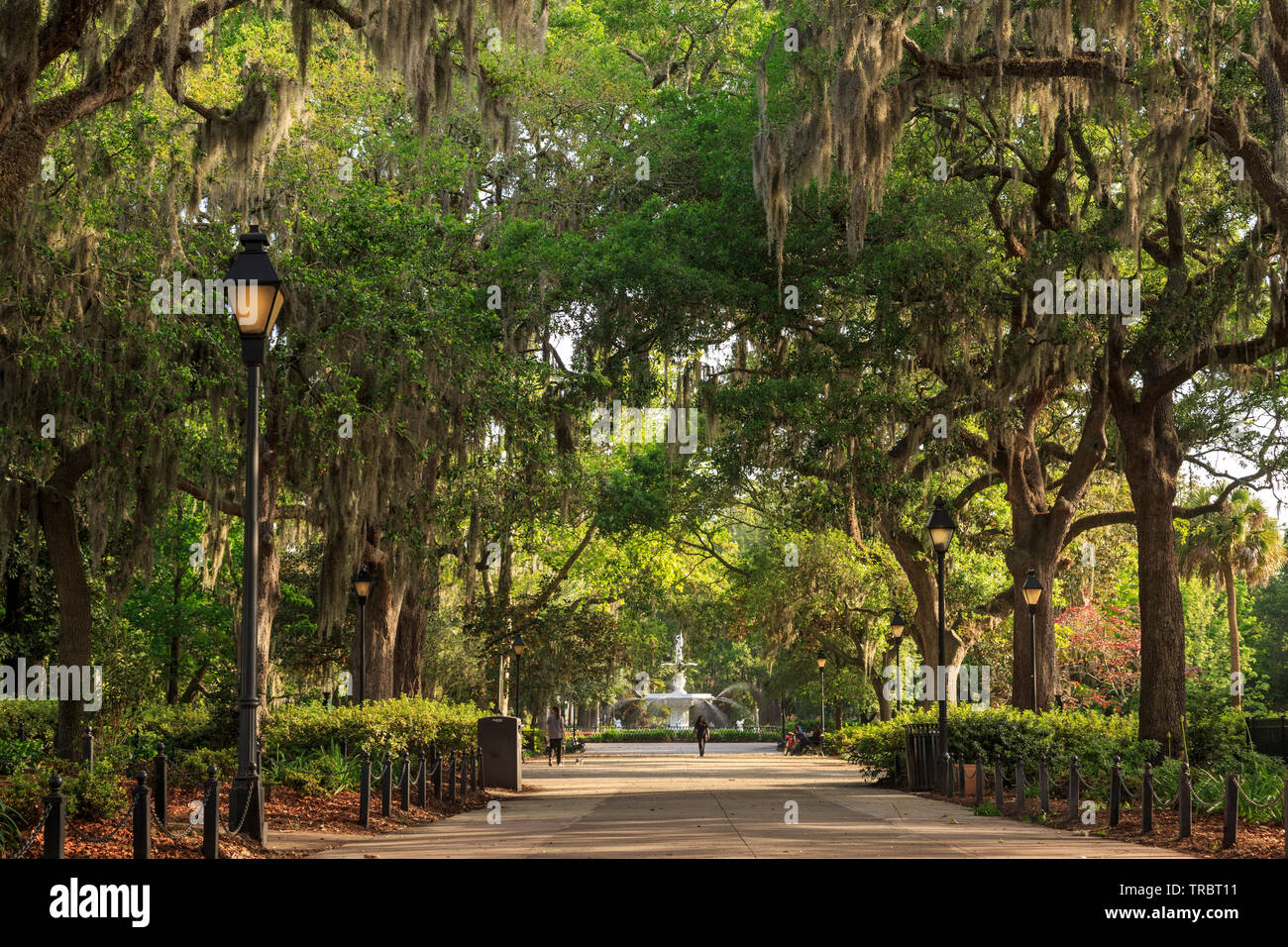 Fontana di Forsyth park, Savannah, Georgia Foto Stock