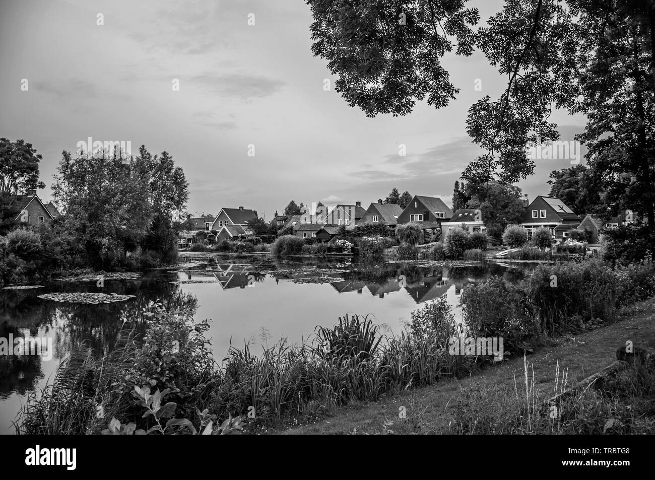 Ampio canale accanto alle case rustiche con alberi e cespugli si riflette sull'acqua in Drimmelen. Un piccolo borgo con porto ed eleganti strade in Paesi Bassi. Foto Stock