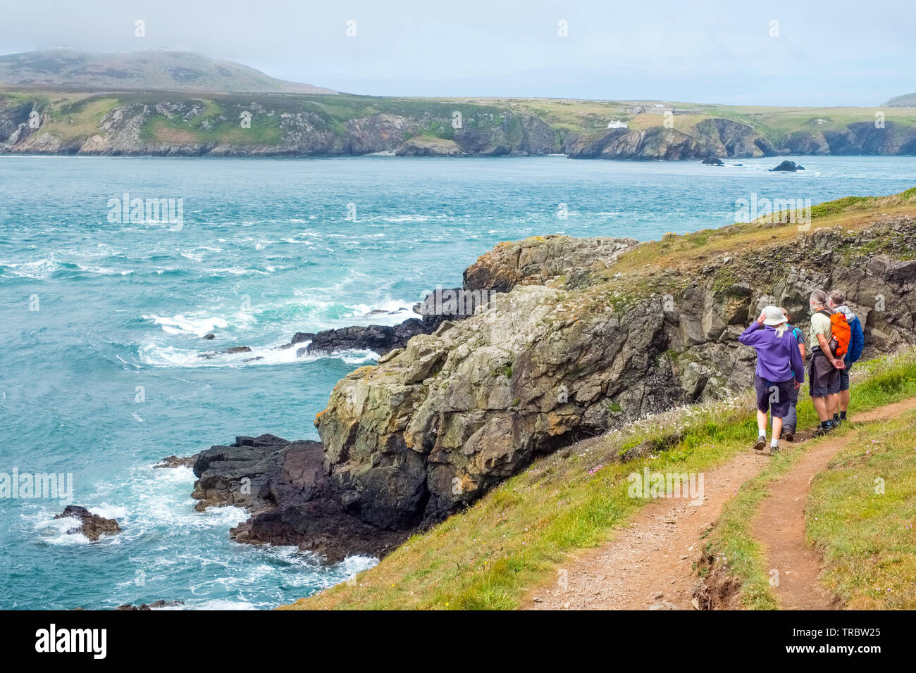 Walkers sul Il Pembrokeshire Coast Path guardando i flussi di marea a Ramsey Sound vicino a St Davids Foto Stock