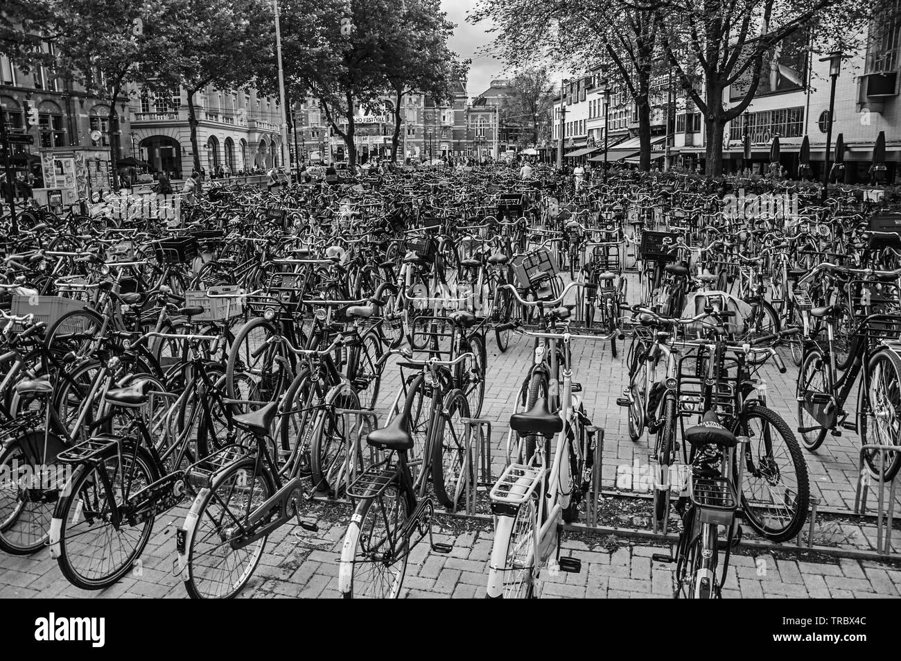 Centinaia di biciclette parcheggiate nella piazza di Amsterdam. Città con enorme attività culturali, dei canali e dei ponti nei Paesi Bassi. Foto Stock