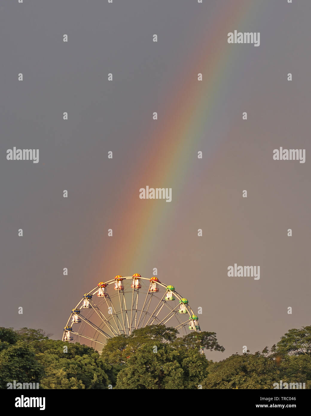 La magica ruota panoramica Ferris Foto Stock