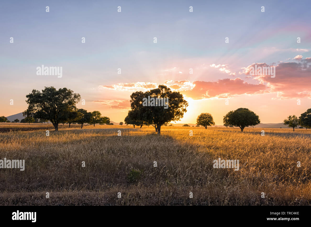 Il tramonto dalla campagna Foto Stock