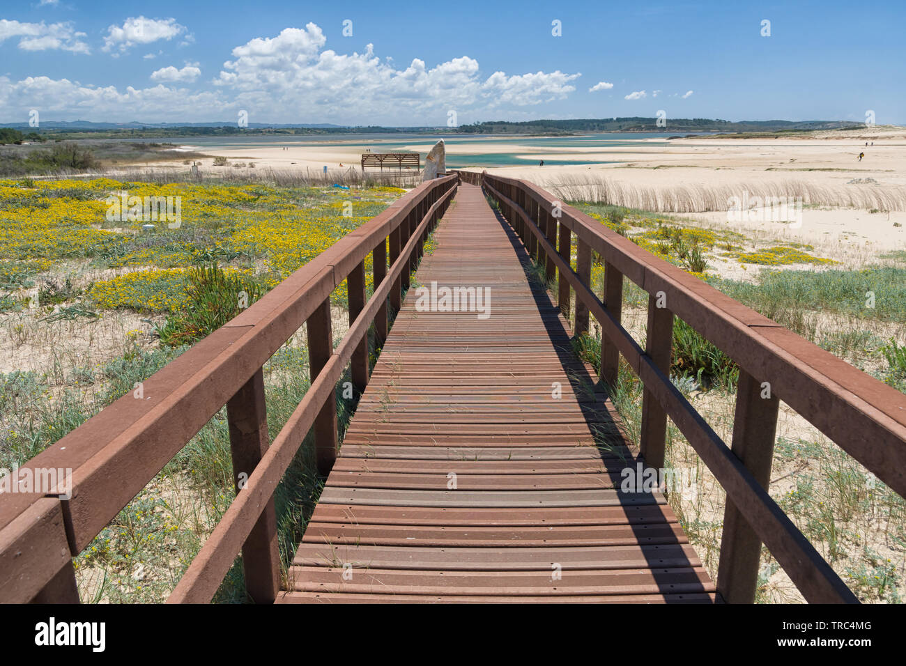 Paesaggio del Portogallo Foto Stock