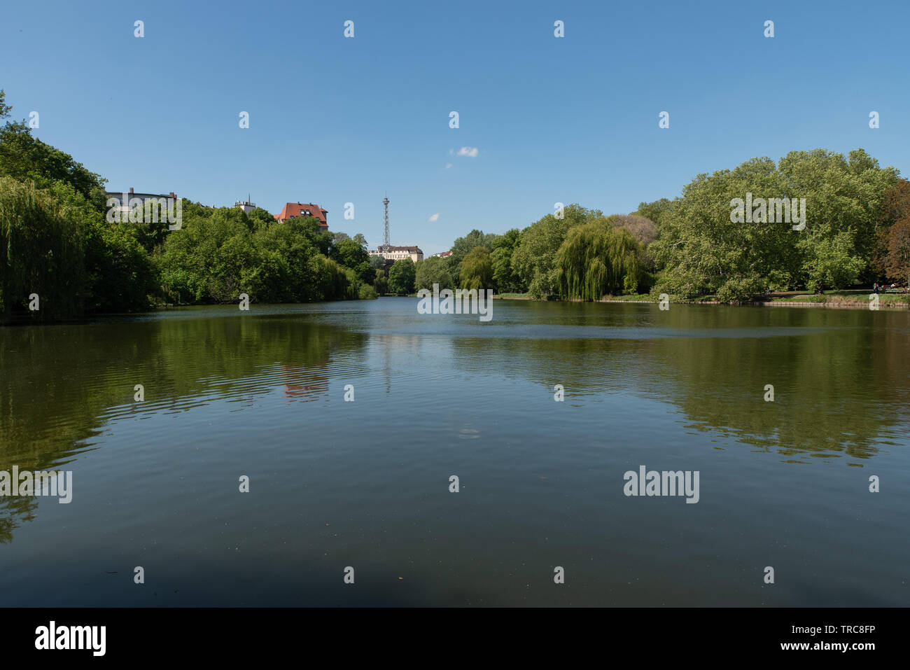 Die im Lietzensee Bezirk Charlottenburg di Berlino, Deutschland. // Il lago Lietzensee nel quartiere Charlottenburg di Berlino, Germania. // Les Lacs de Foto Stock