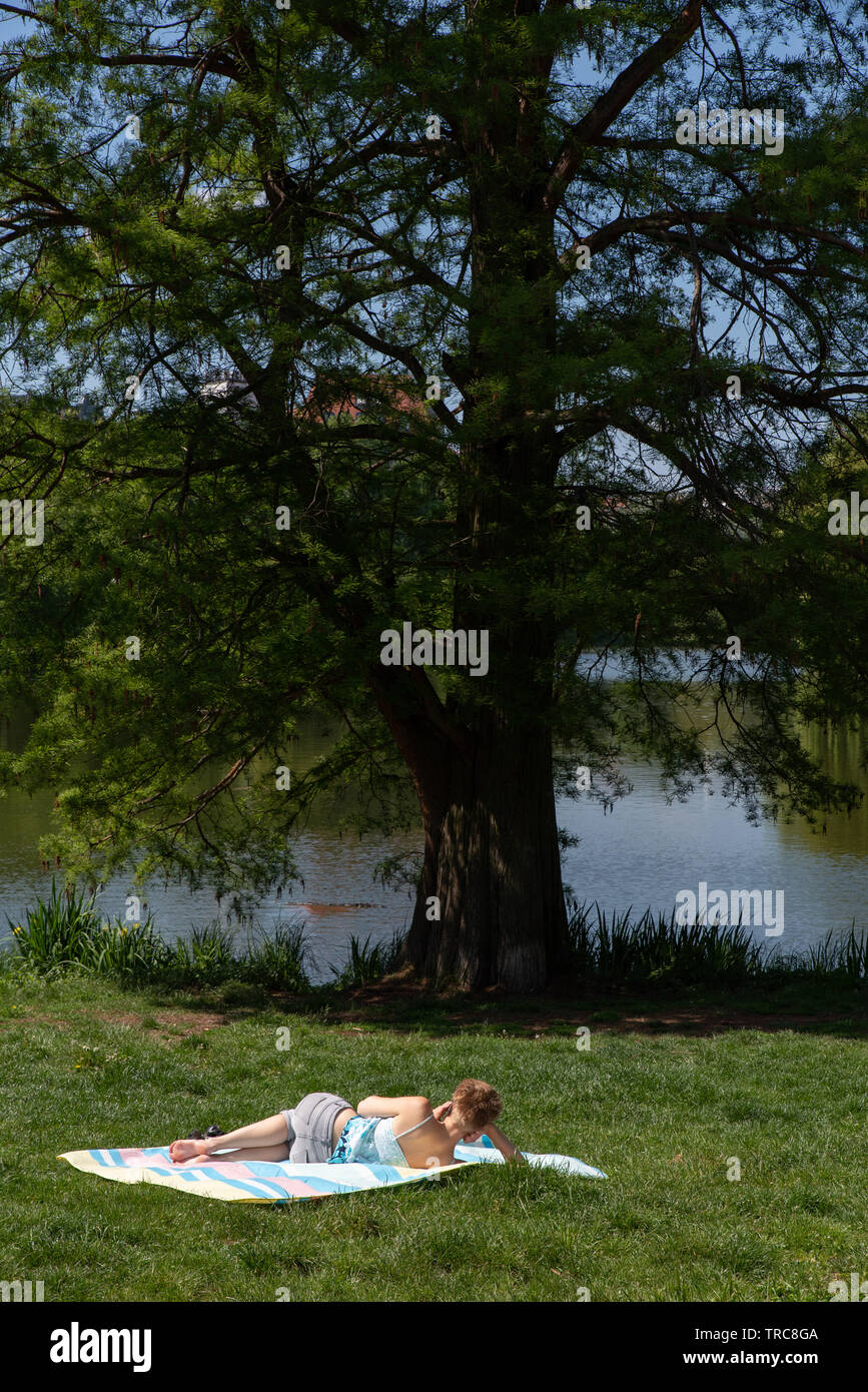 Frau, muoiono in Lietzen visto in Charlottenburg-Bezirk, Berlino, Deutschland ein Sonnenbad nimmt. // La donna a prendere il sole a Lietzen laghi a Charlottenburg di Foto Stock