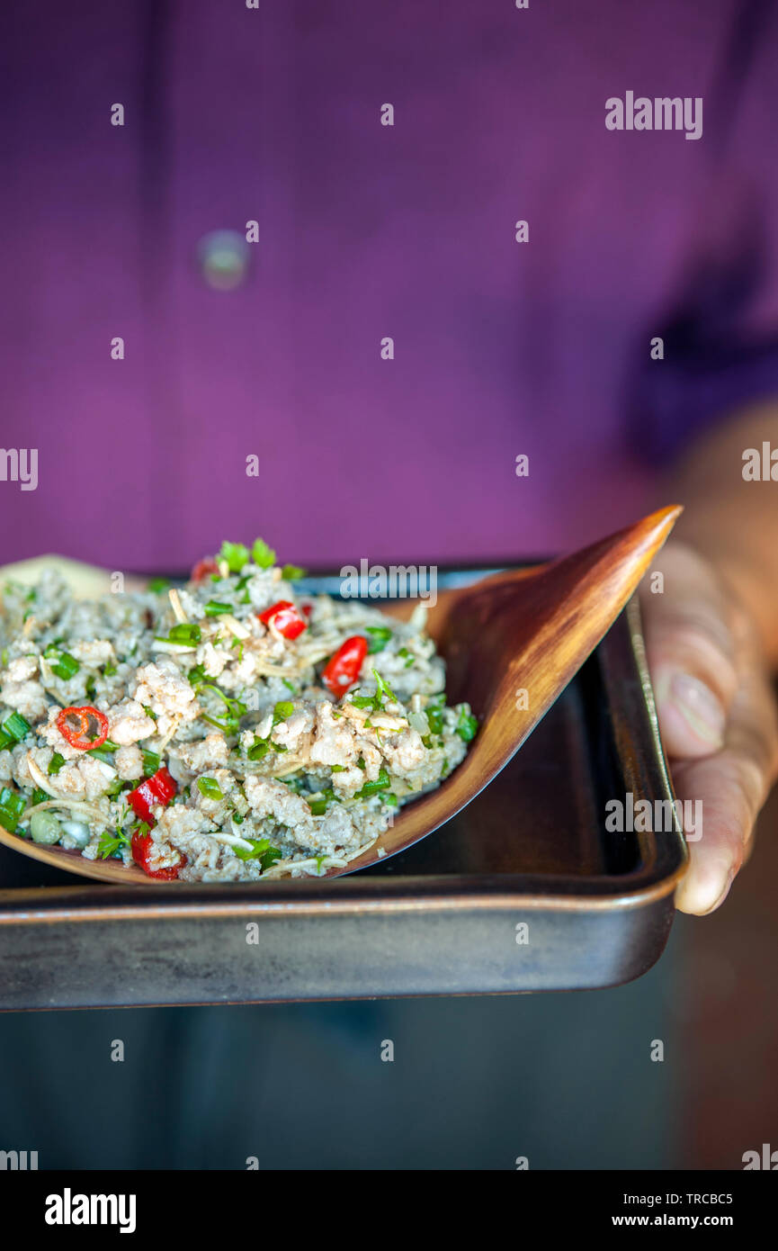 Asa moo, di carne macinata di maiale condita con i dadini di cuore della banana flower, scalogno e menta, a 3 Nagas Ristorante a Luang Prabang, Laos. Foto Stock