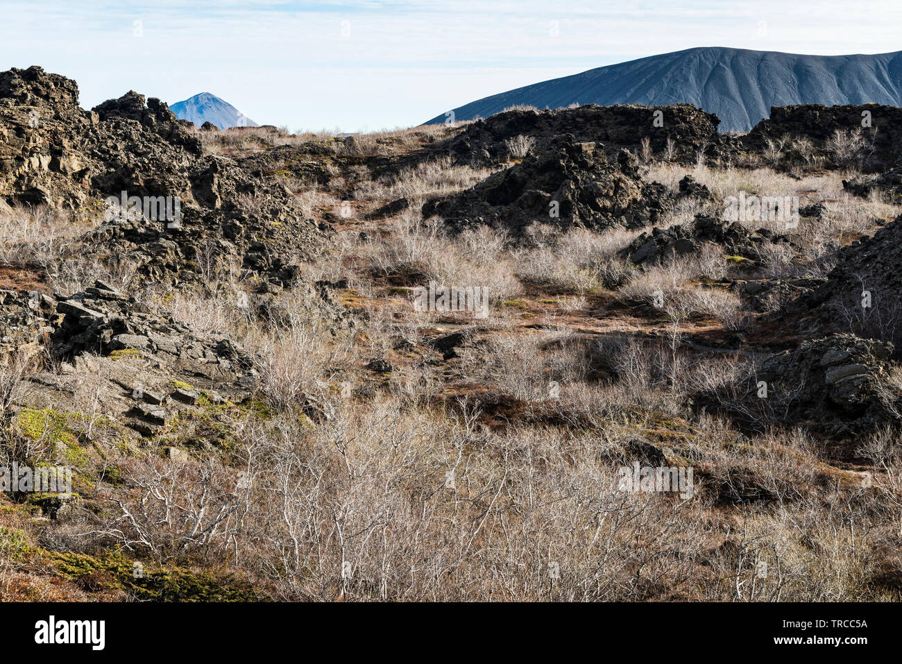 L'unico e surreale paesaggio vulcanico di Dimmuborgir, nei pressi del Lago Myvatn nel nord-est dell'Islanda Foto Stock