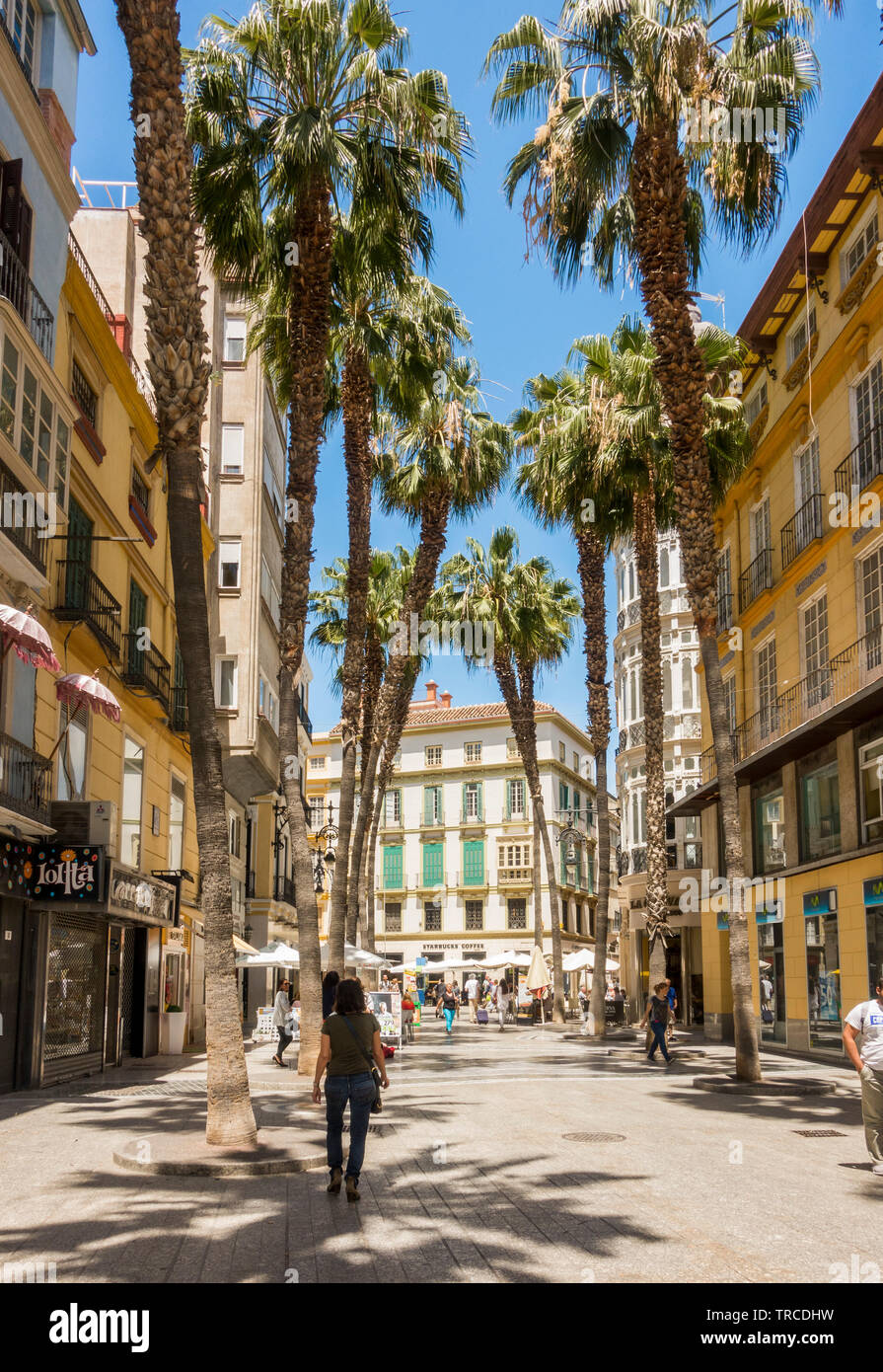 Street view centro di Malaga, Puerto del Mar, con alberi di palma. Malaga, Andalusia. Foto Stock