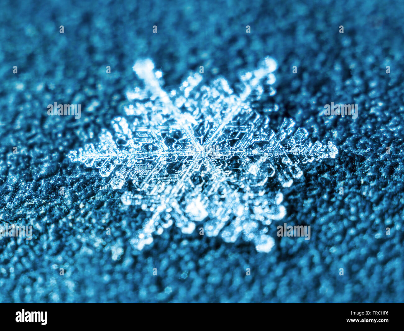 Neve naturale fiocco di neve invernale di cristallo di ghiaccio foto macro con ingrandimento elevato effetto Bokeh di fondo su sfondo blu Foto Stock