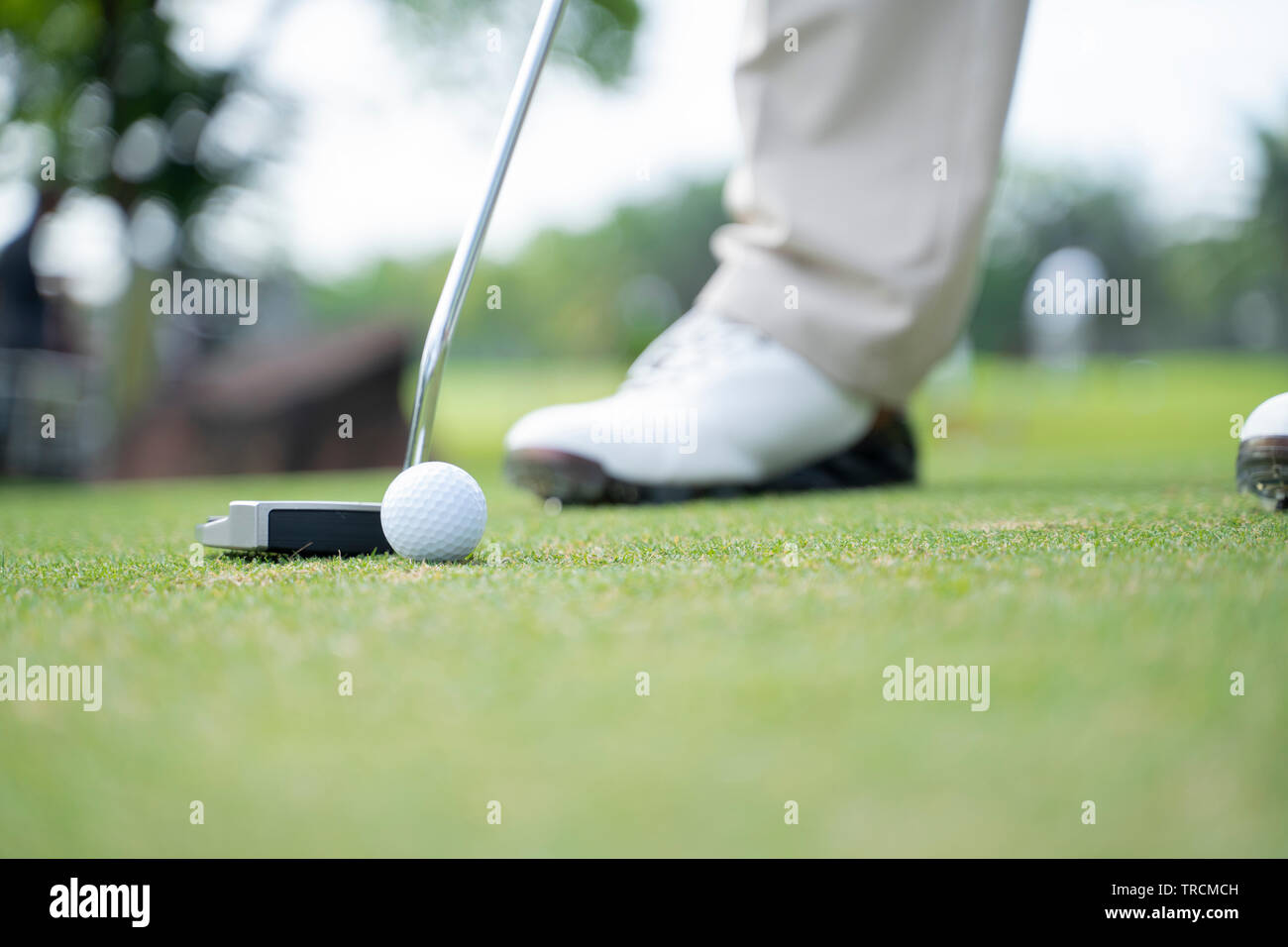 Giocatore di golf al putting green di colpire la palla. - Immagine Foto Stock